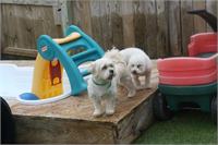 daycare pic 101 - play time